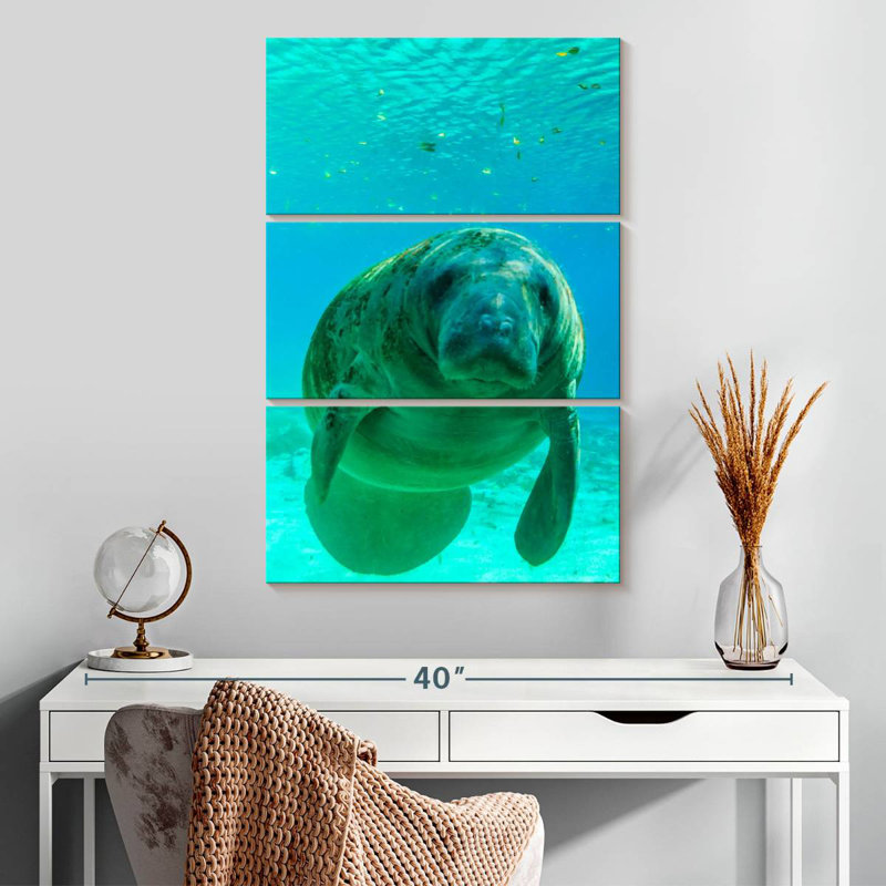 Brampt Swimming Manatee, 32" H x 20" W