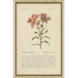 Peruvian Lilly Painting