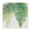 « ferns iii square », reproduction de peinture à l’acrylique sur toile tendue-31872406