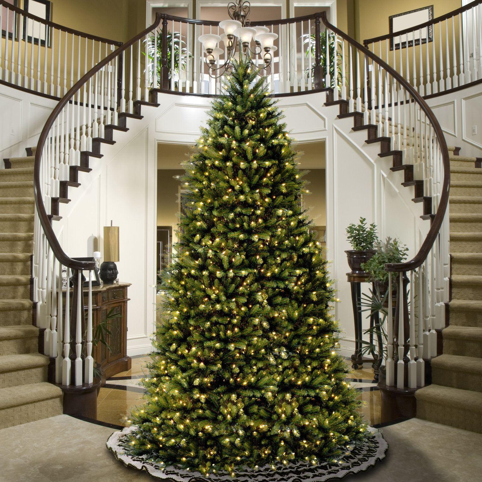 The Holiday Aisle® Dunhill Fir Tree with Clear Lights, 14'
