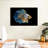 Brampt Sublime Fighter Fish-107850077