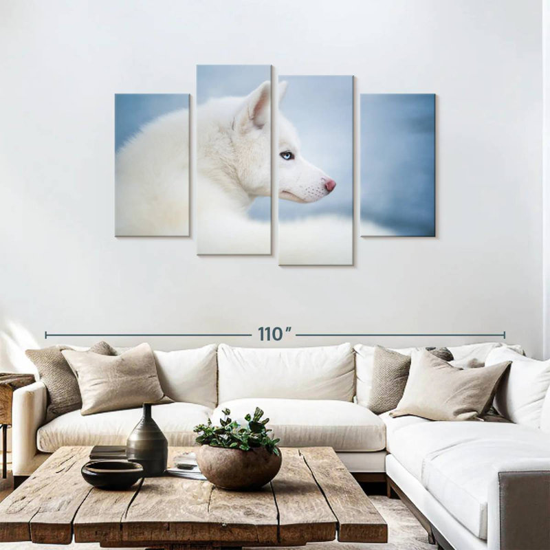«Husky blanc pur» Brampt, 4 pièces