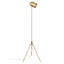 Lampe trépied 56 po Alexa-2755156