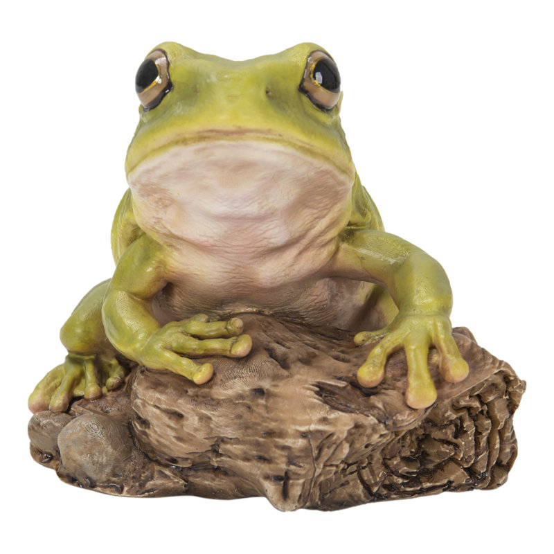 Tree Frog