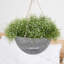 Boxdale Hanging Planter - Set of 2-549305103-549305101