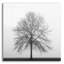 Winston Porter «Winter Trio III» par Nicholas Bell, art mural en verre acrylique-2031825419