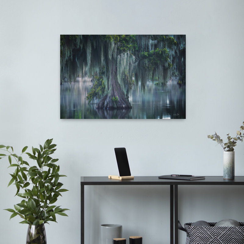 Rideaux de mousse, art contemporain de paysage de cèdre contemporain