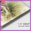 Toile tendue Crabs On Sandy Beach-1809706563