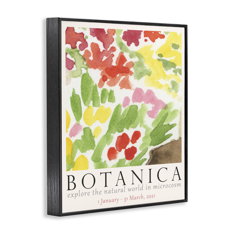  Botanica Floral Museum Grey Framed Giclee Art by June Erica Vess, H 14 po x l 11 po, Giclée encadrée noir minuit