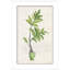 Verdigris I Giclee Print by Dana Gibson