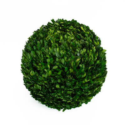 Preserved Boxwood Ball
