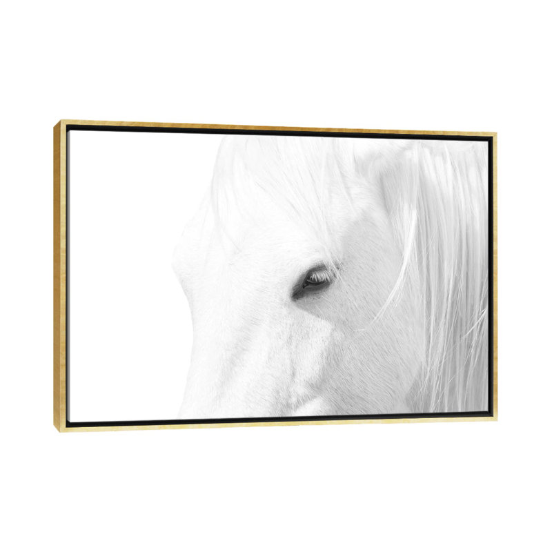 « Cheval blanc » par Marco Carmassi-impression d’art graphique, Toile encadrée d'or, Pas de tapis, H 40 po x l 60 po x 1,5 po