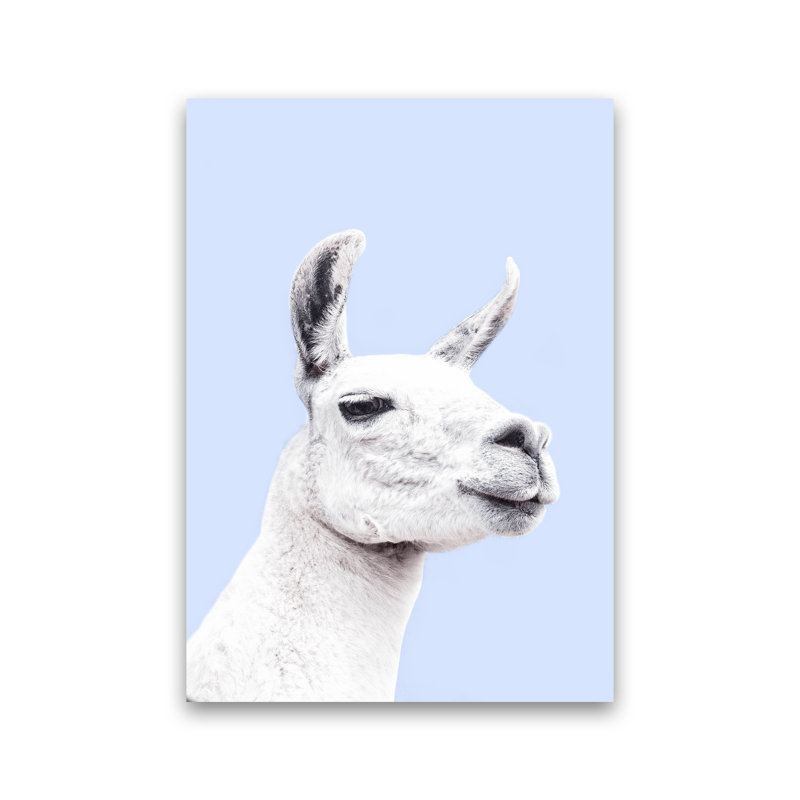 Blue Llama by Victoria Frost - Print, Unframed, 30cm H x 21cm W x 1cm D