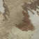 Premium Machine Washable Prisco Chocolate Rug