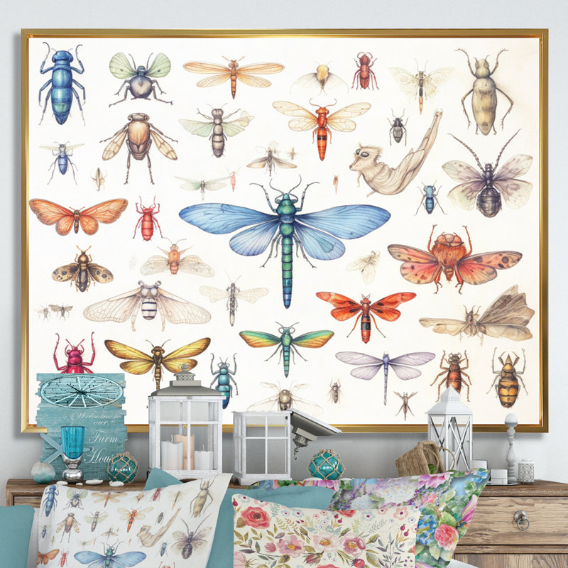 «Tiny Insect Wonders I», reproduction sur toile, Cadre flottant doré, H 16 po x l 32 po x P 1 po