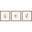 Ensemble de trois reproductions d'art encadrées dorées