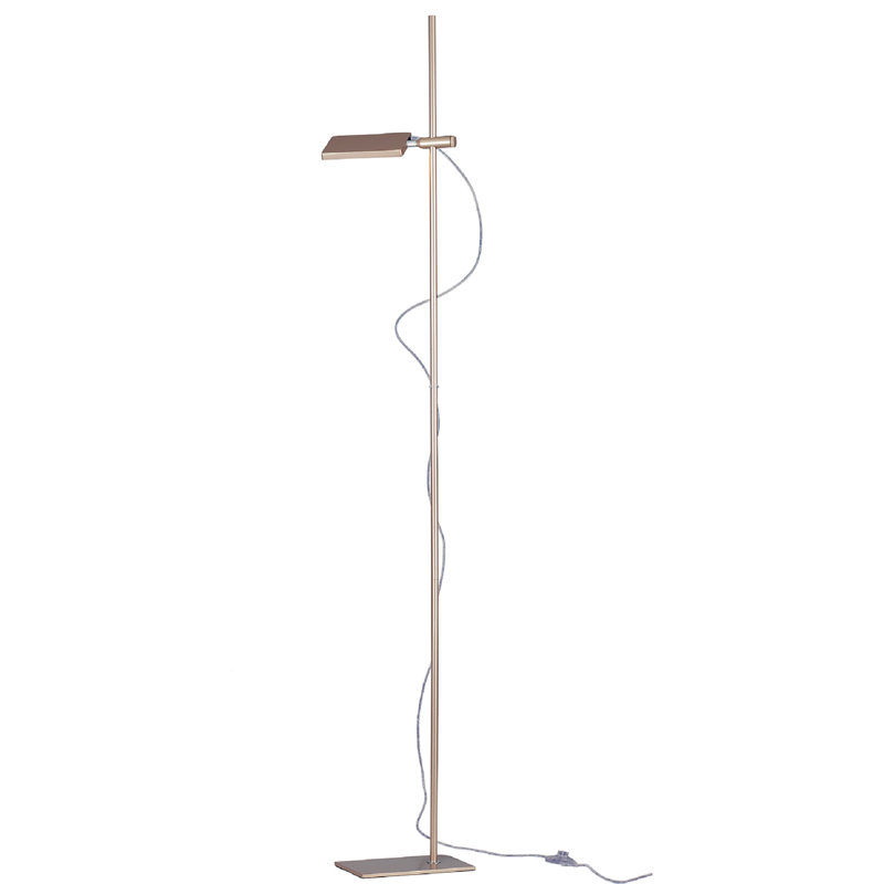 Winsford 162cm LED Novelty Floor Lamp, Gold