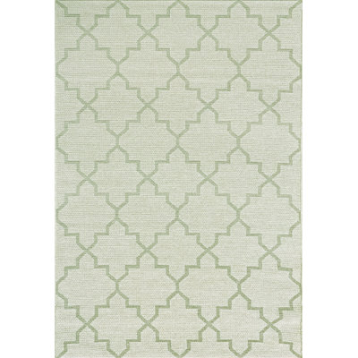 Tapis vert intérieur / extérieur Natoma
