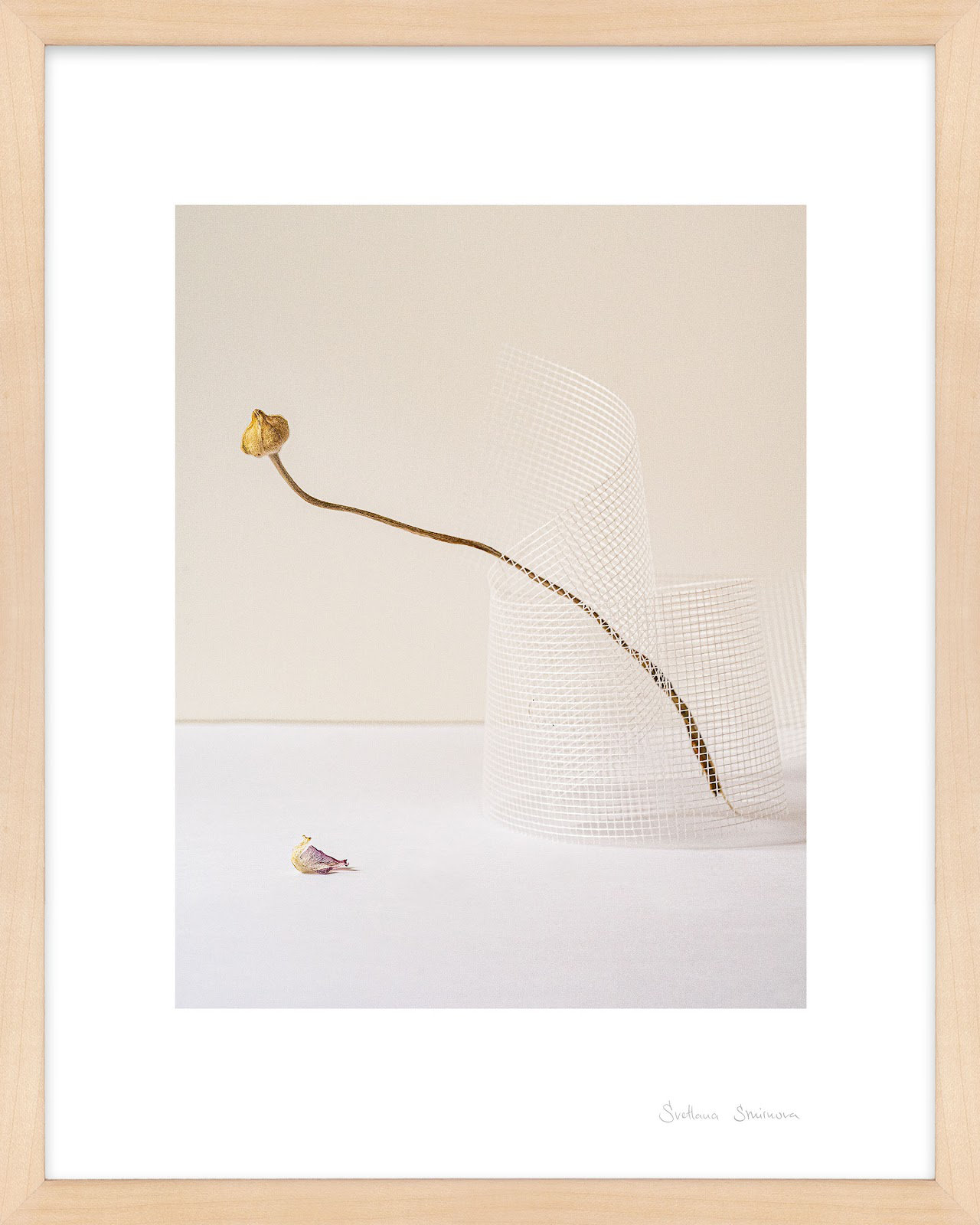 Lombard "Balance 2" Photo Print, Maple, 25" H x 20" W x 1.25" D