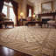 Aadi Hand Knotted Wool Tan/Gray Area Rug-265853781-174062089