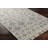 Anelisse Performance Geometric Indoor Rug-260315414