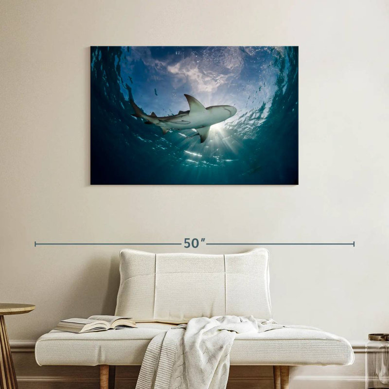 Brampt Lemon Shark In The Water, 26'' H x 39'' W