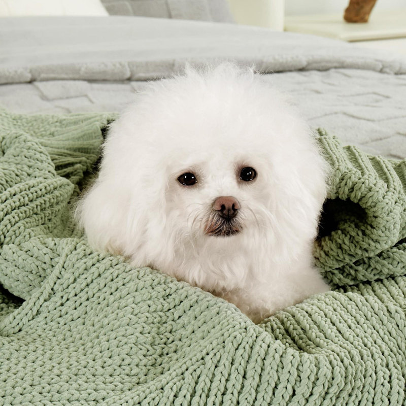 Jeté Chunky Knit, L 60 po x L 80 po, Vert sauge