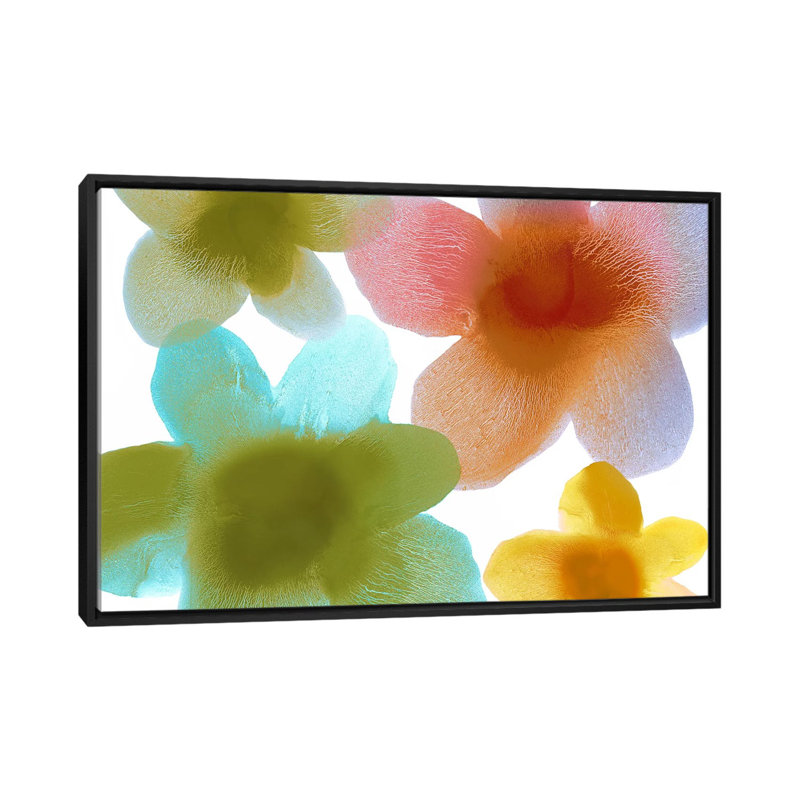 «Floral Blooms I», reproduction sur toile, H 18 po x l 26 po x P 1,5 po, Toile avec cadre noir, Pas de tapis