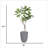78.1'' Faux Fiddle Tree Tree in Pot