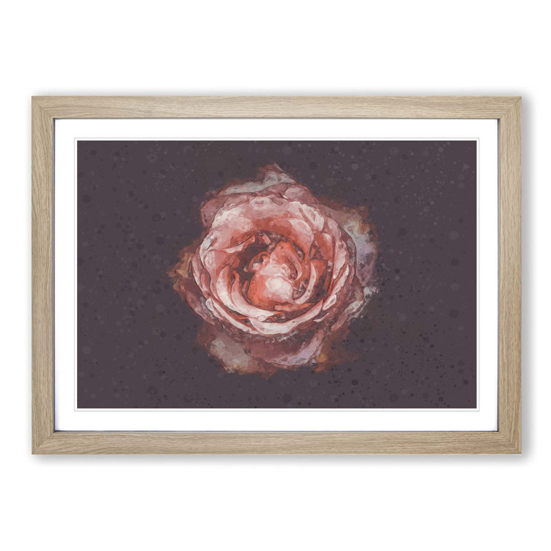Pink Tipped Rose Flower - Picture Frame Graphic Art Print, 60cm H x 91cm W x 2cm D, Oak
