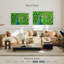 Plume de paon vert Bramtr Chartreuse-108819073