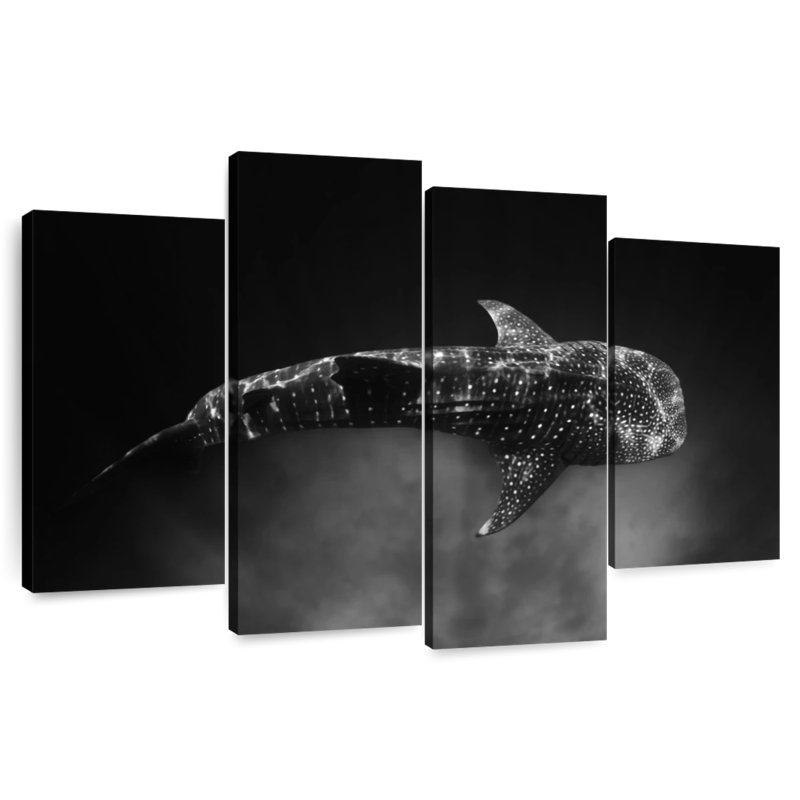 Brampt Monochrome Whale Shark, 27" H x 43" W