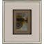 Striation II Framed Art