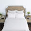 Lana 100% Cotton Euro Sham in Ivory-2085400912