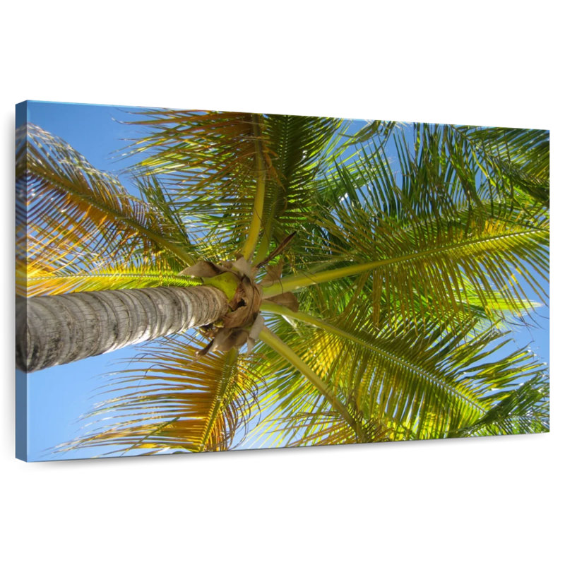 Harnek Saint Barths Palm Tree, 8" H x 12" W