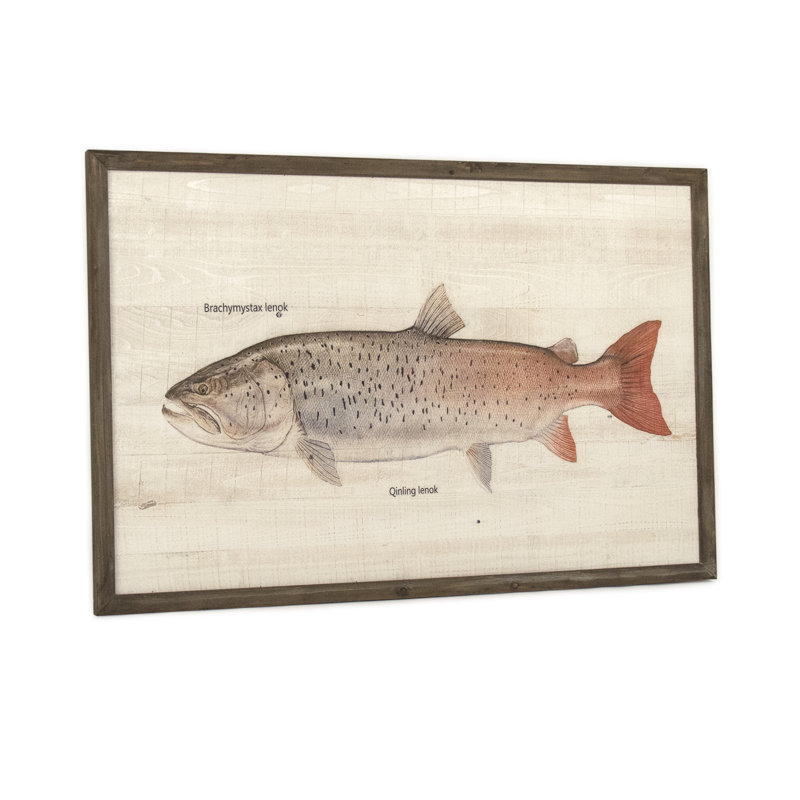 Qinling Lenok Print, 31.5" H x 47.5" W x 1.5" D