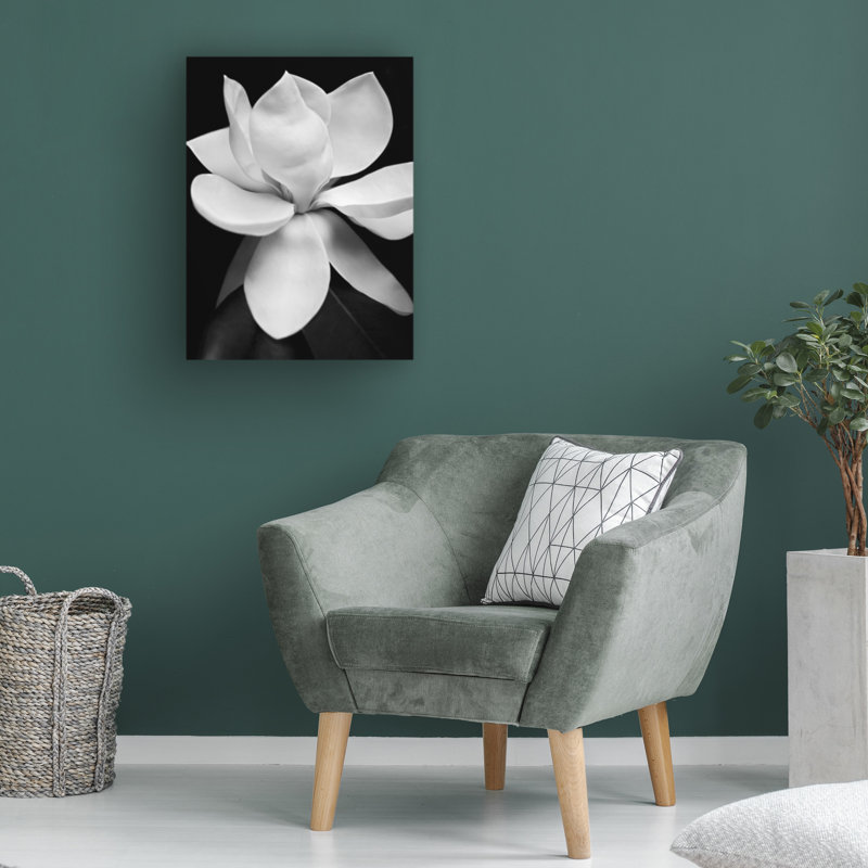 «Magnolia», reproduction de photo sur toile tendue, H 24 po x l 18 po x P 2 po