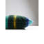 ESTEREL VELVET PILLOW