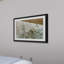 Single Picture Frame Print-18320459