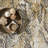 Aideen Modern Snake Patterned Area Rug-967341766
