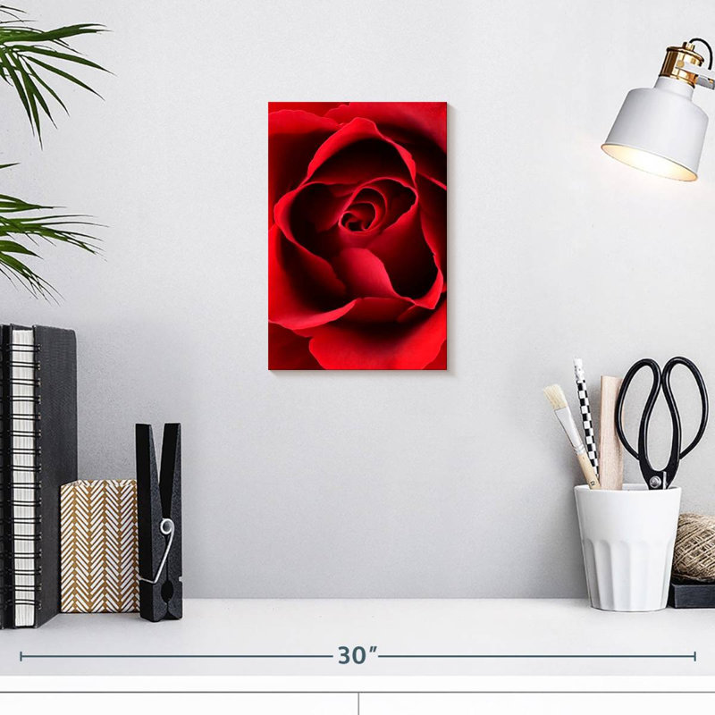 Harnek, gros plan, vue, rose rouge, H 12 po x l 8 po