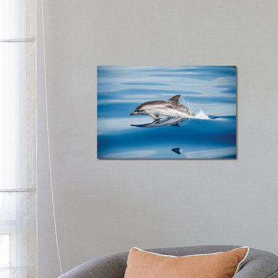 Striped Dolphin 1 Piece Wall Art on Canvas