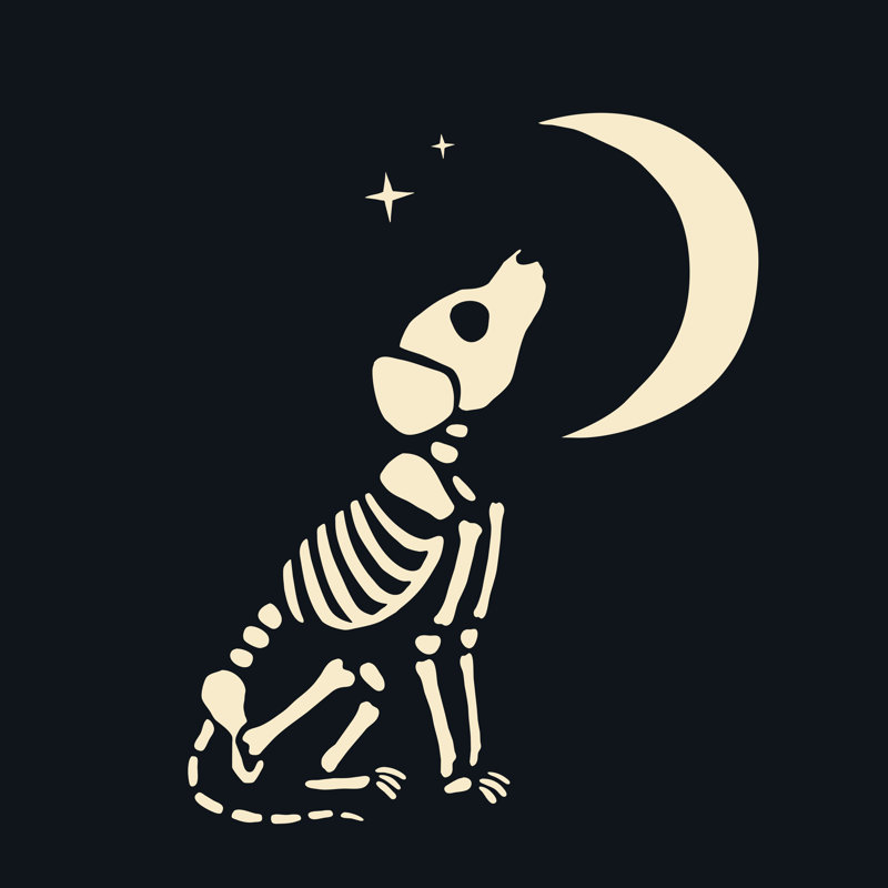 Jalis Skelepet IV sur toile par Victoria Barnes, H 20 po x l 20 po