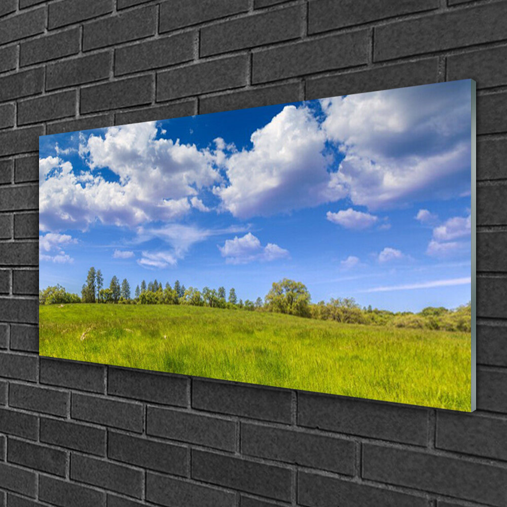 Glasbild Wiese Graslandschaft