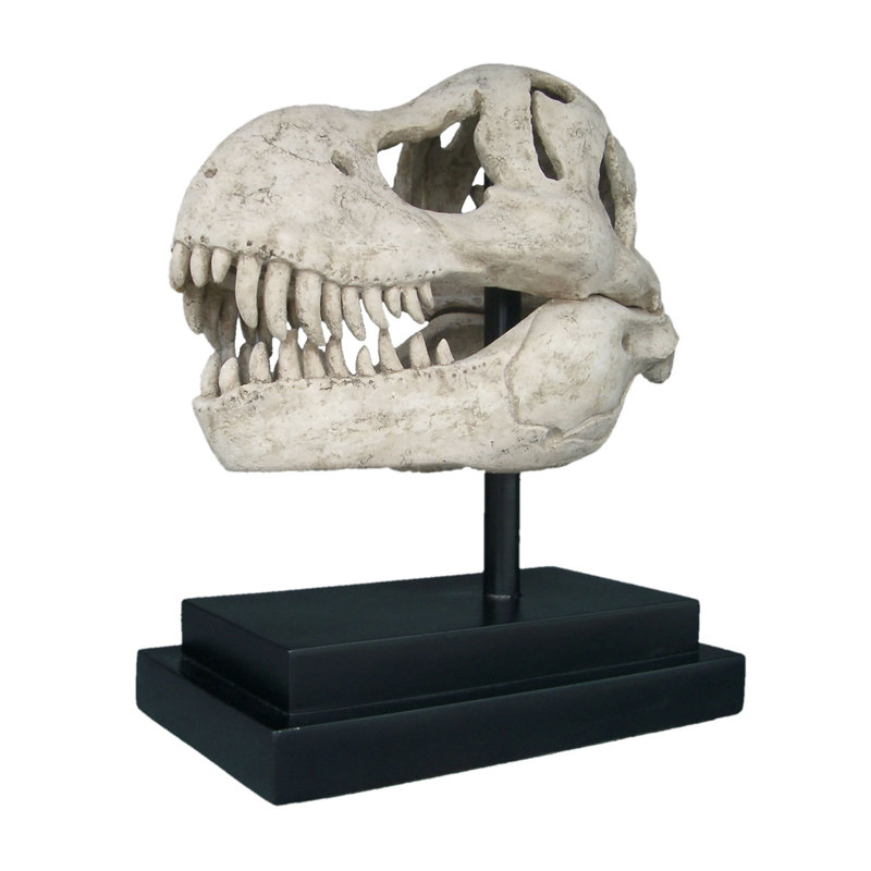 Sculpture de fossile de crâne de dinosaure T-Rex