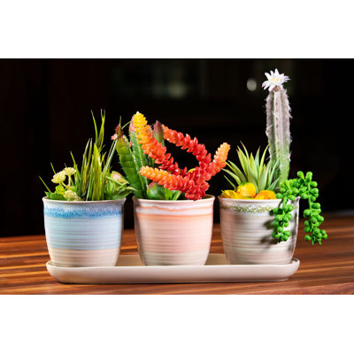 PASTEL CHARM SET OF 4"PLANTERS W/TRAY