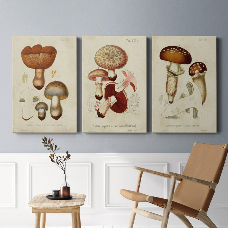 Mushroom Variétés I - Toile tendue avec châssis de qualité supérieure - prête à être accrochée, H 60 po x l 120 po x P 3 po