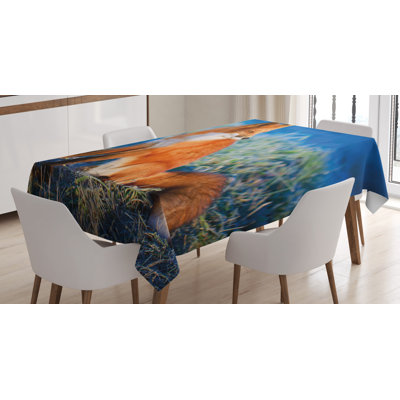Tablecloth