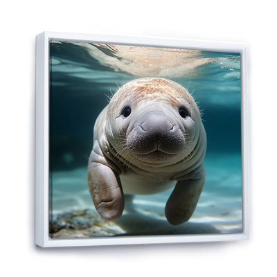 Curious Manatee Gaze III - Art mural lamantin