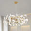1 - Light Chandelier-146930476